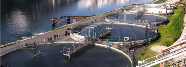Aquaculture basin for industrial fishfarming