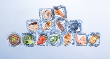 BOC Food web image containing ice cubes with different food types inside